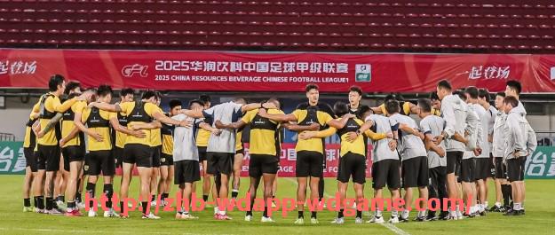 问鼎娱乐官网-法甲比赛票房情况整理:场均观众人数与球市热度对比