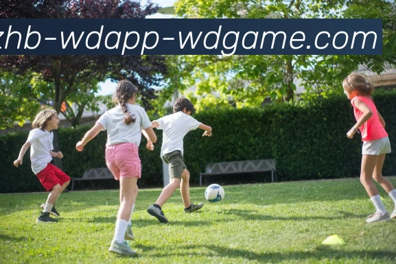 App Interface Preview