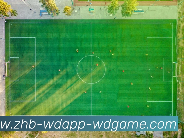 数据防护可视化