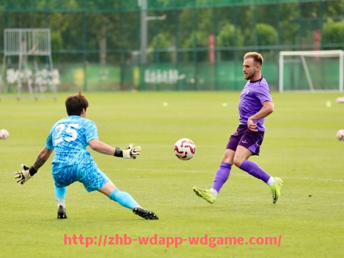 问鼎娱乐官网-意甲球队球衣品牌大全及体育商业合作介绍